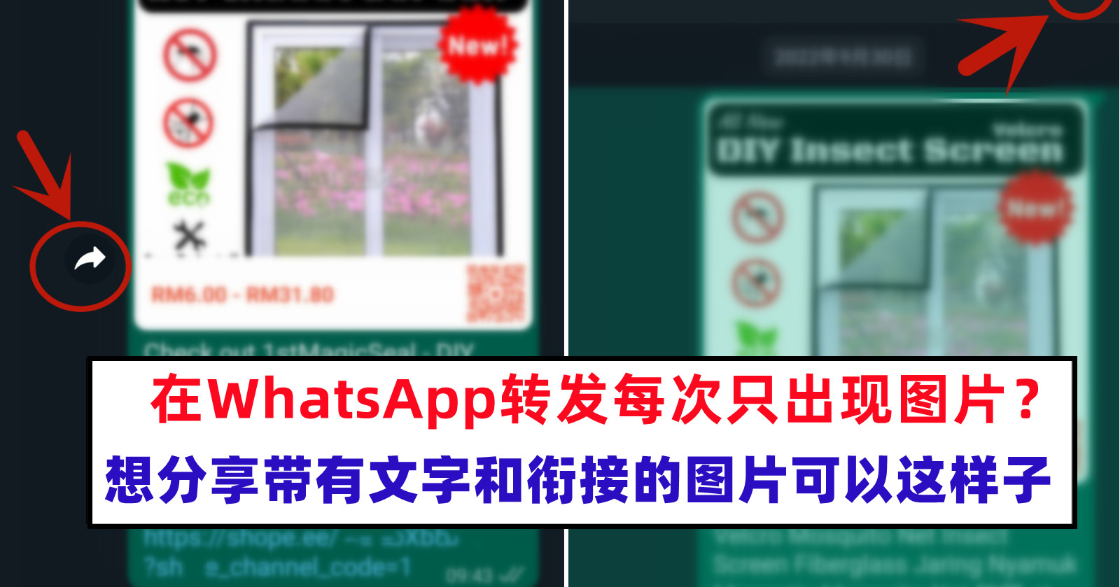 怎么发企业微信朋友圈？企业微信如何转发朋友圈？ - 企业微信指南