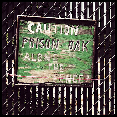 Warning sign for poison oak