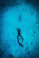 Freediving Maldives - PJ Freediving