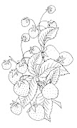 Click on Image to Enlarge (strawberries embroiderey graphicsfairy)