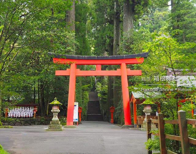 箱根神社：第四鳥居と正参道