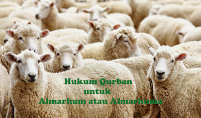 Hukum Qurban untuk Almarhum atau Almarhuma