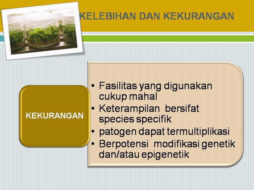 Teknik Kultur Jaringan : Mikropropagasi  Chopaster