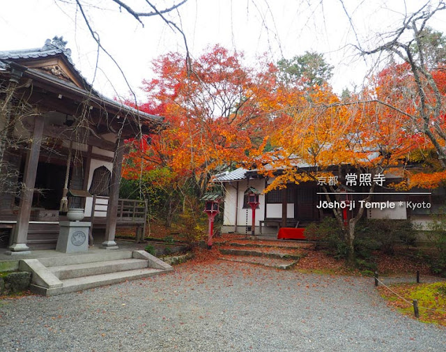 [京都] 常照寺の紅葉