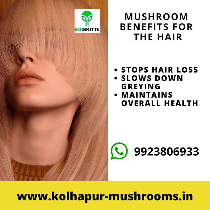 Mushroom Benefits for Hairs | Organic mushrooms | Biobritte mushrooms