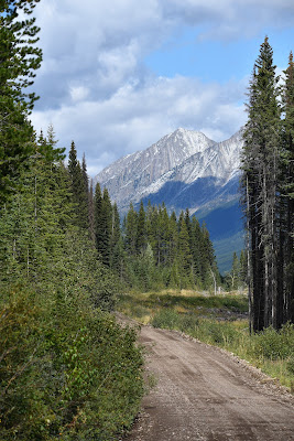 Trans Canada Trail Elk Pass route.