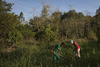 In this Oct. 10, 2012 photo, Patrick da Silva, left, and Talles de Almeida work on a reforestation project in the Atlantic Forest region of Silva Jardim, in Brazil's state of Rio de Janeiro. (Credit: AP Photo/Felipe Dana) Click to Enlarge.