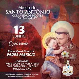 Viva Santo Antonio!!! - Vila de Picotes