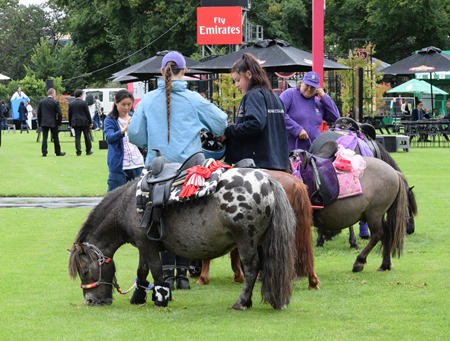 ponies 1