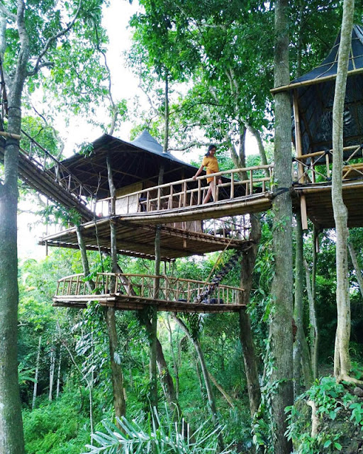 Tempat Wisata Hits di Bali yaitu Rumah Pohon Temega Karangasem