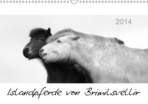 Islandpferde von Brimilsvellir (Wandkalender 2014 DIN A3 quer): Islandpferde von Brimilsvellir (Monatskalender, 14 Seiten)