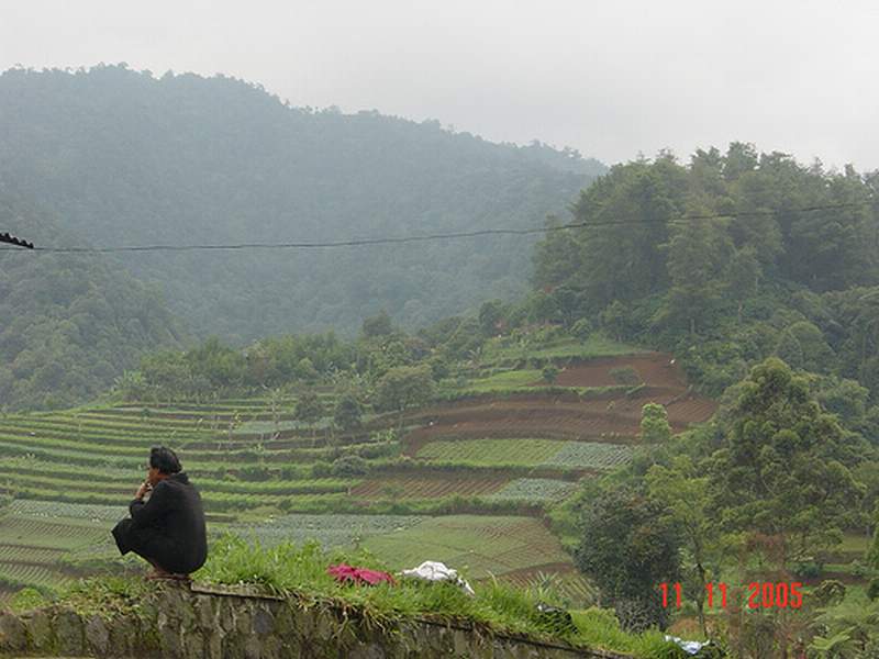 Wallpaper pemandangan alam pegunungan