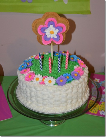 Sarah's party 027
