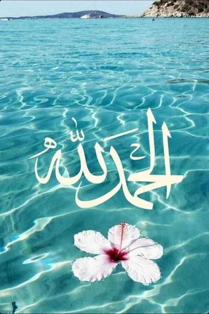 خلفيات ورد