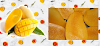 Top 5 Mango Health Benefits