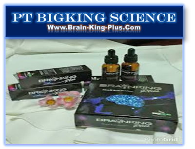 http://www.brain-king-plus.com/