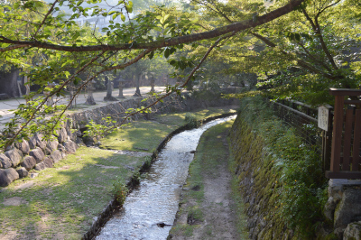 A stream on Miyajima Island in Japan