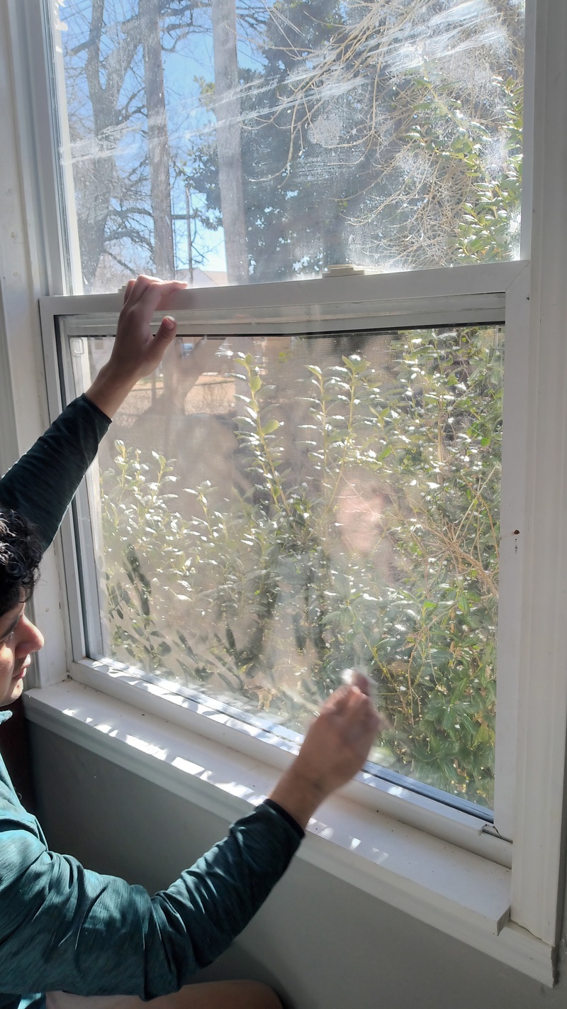Window Repair 2