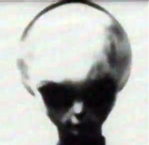 Alien Grey Extraterrestrial Zeta Reticuli