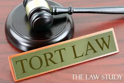 Tort and Its Essential Elements