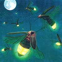 kunang-kunang dan bulan
