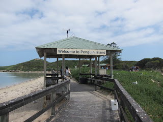 Penguin Island