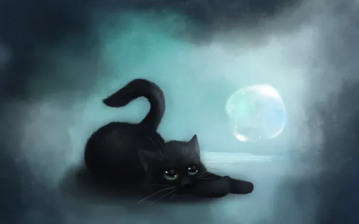خلفيات الفن القطة السوداء