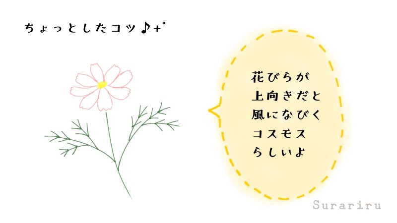 簡単なコスモスの花のイラストの描き方 遠北ほのかのイラストサイト