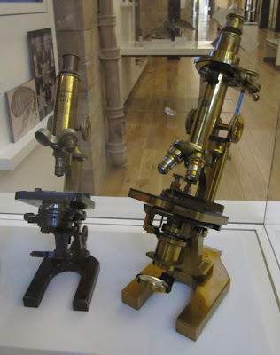 Victorian microscopes