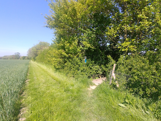 Ashwell footpath 20 - point 5