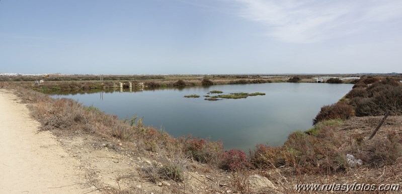 Ruta de los Esteros (Chiclana)