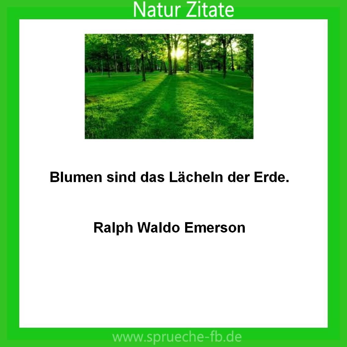 Natur Zitate Sms Sprüche