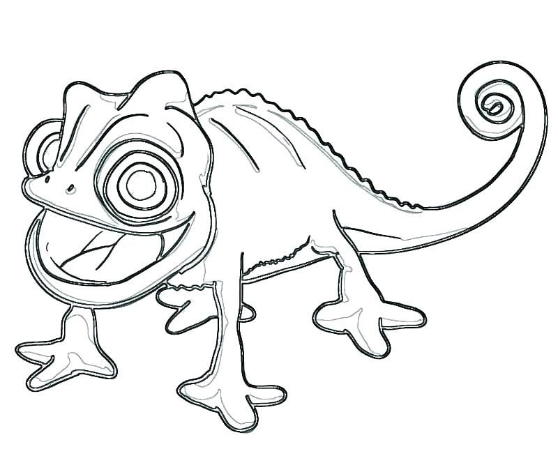 animals coloring page