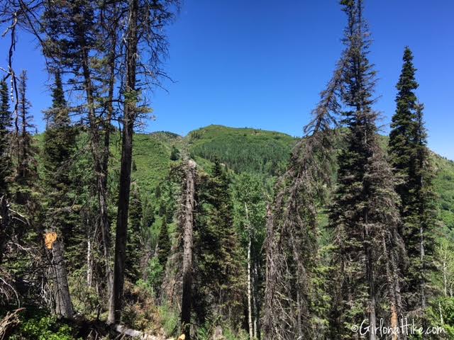 Hiking Lambs Canyon, Utah