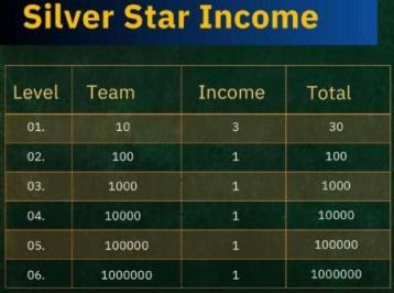 Silver Star Income
