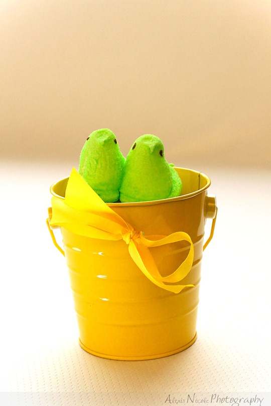 peeps-(5-of-16)