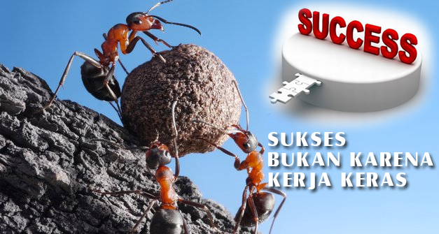 TERNYATA SUKSES BUKAN KARENA KERJA KERAS