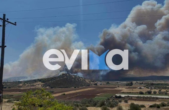 Φωτιά στην Εύβοια: Μήνυμα του 112 στα Νότια Ψαχνά για εκκένωση – Συγκλονιστικές εικόνες από την πύρινη κόλαση