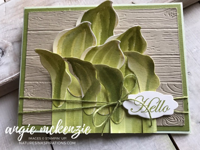 Lasting Lily Hostas | Nature's INKspirations by Angie McKenzie