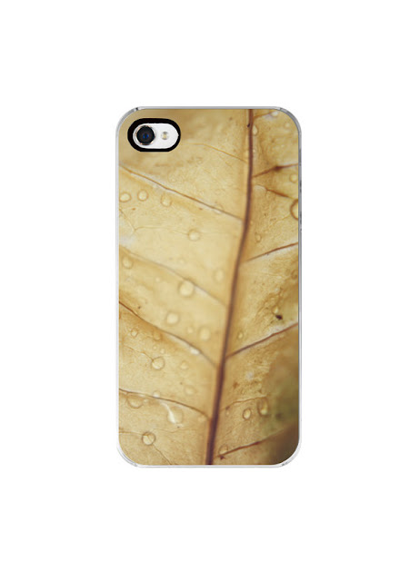 Autumn Iphone 4 Case4