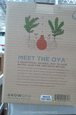 Growoya Medium Oya keeps your plants watered even when you forget