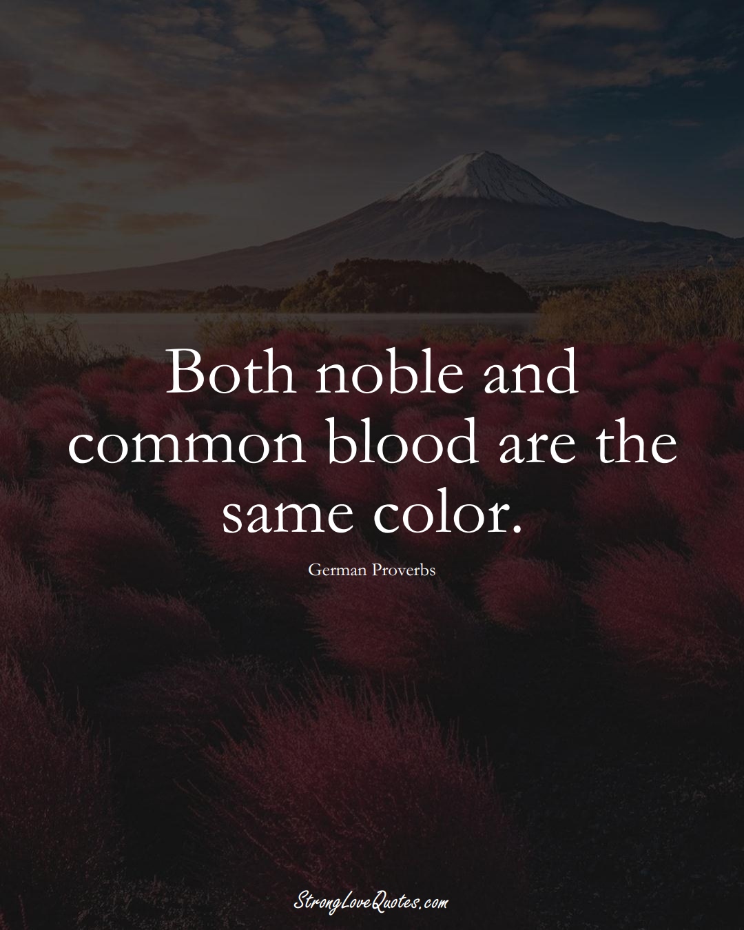 Both noble and common blood are the same color. (German Sayings);  #EuropeanSayings
