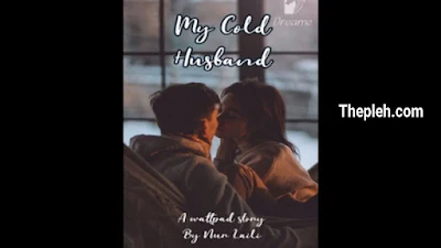 Novel my cold Husband Full Episode