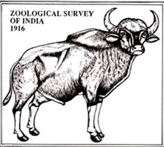 ZSI Zoology/Entomology JRF Walk IN 2019 January 