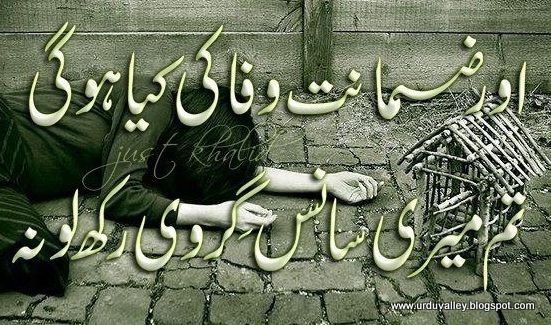 love poetry in urdu, urdu love poetry, urdu poetry, urdu sad poetry, Aur Zamanat Wafa Ki Kya Ho Gi,