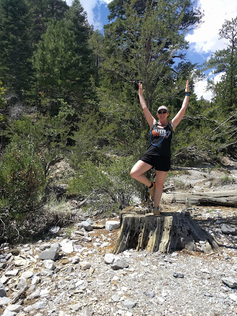 Fletcher Canyon Trail at Mt Charleston