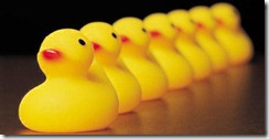 ducks