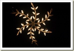 snowflake small