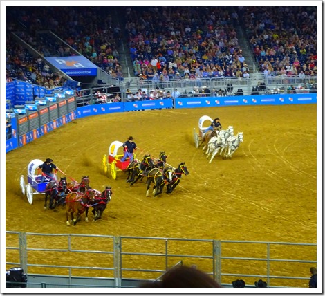 Houston Rodeo and Concert
