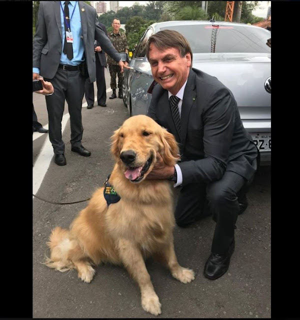 bolsonaro: "tu tens uma cara de bode arretada..." bolsonaro: "tu tens uma cara de bode arretada..."